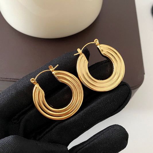 Titanium Round Earrings