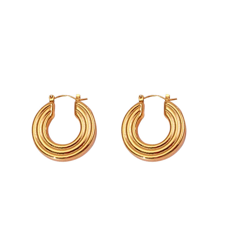Titanium Round Earrings