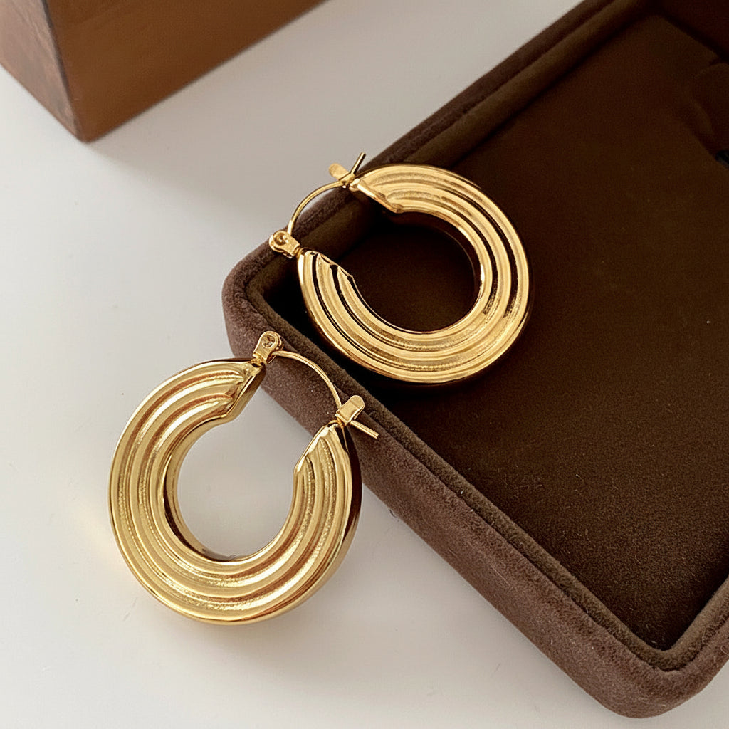 Titanium Round Earrings
