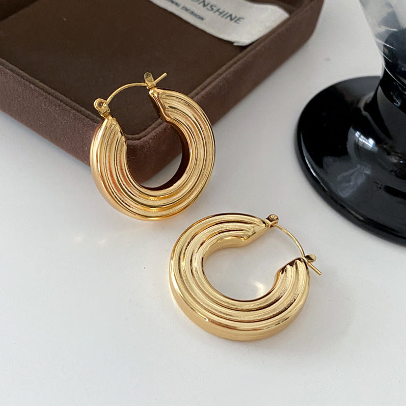 Titanium Round Earrings